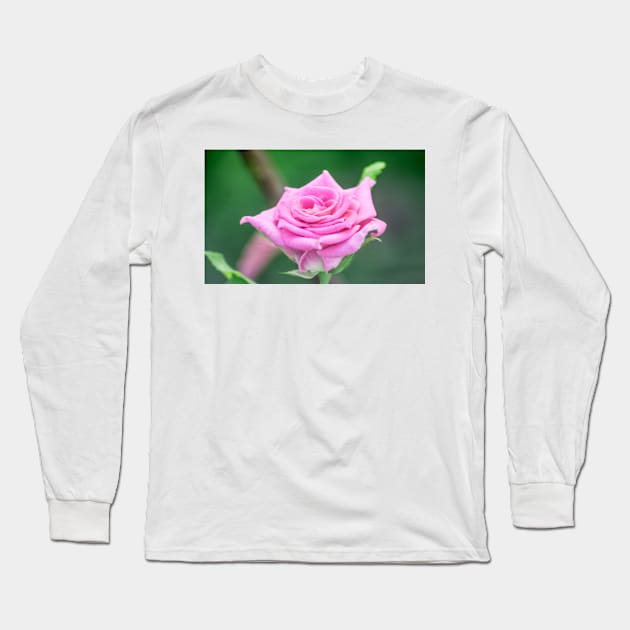 1127 rose Long Sleeve T-Shirt by pcfyi